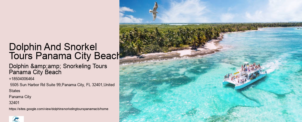 Dolphin And Snorkel Tours Panama City Beach