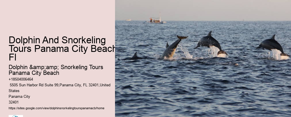 Dolphin And Snorkeling Tours Panama City Beach Fl