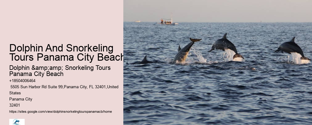 Snorkeling Tours In Panama City Beach Fl