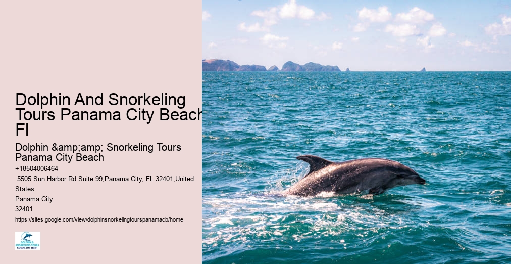 Panama City Beach Snorkeling Tours