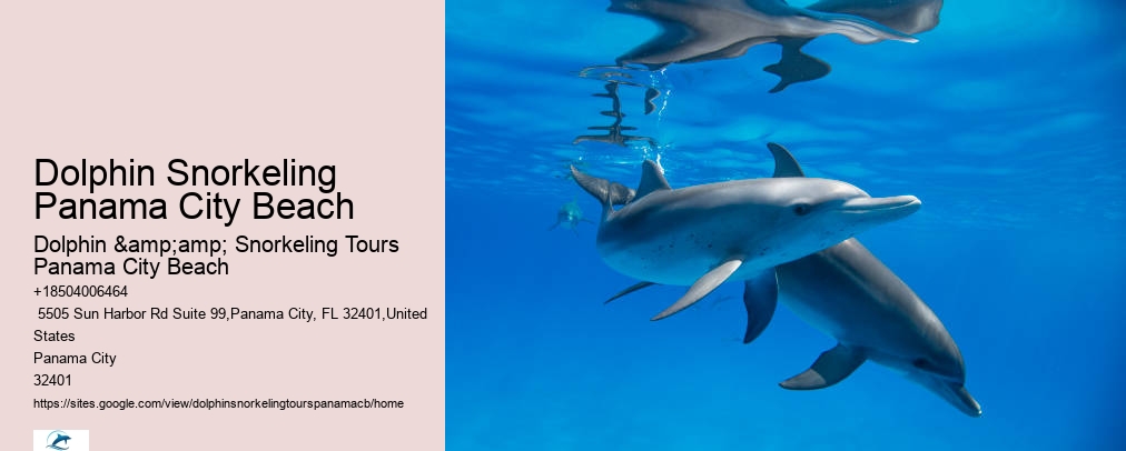 Shell Island Snorkel Cruise