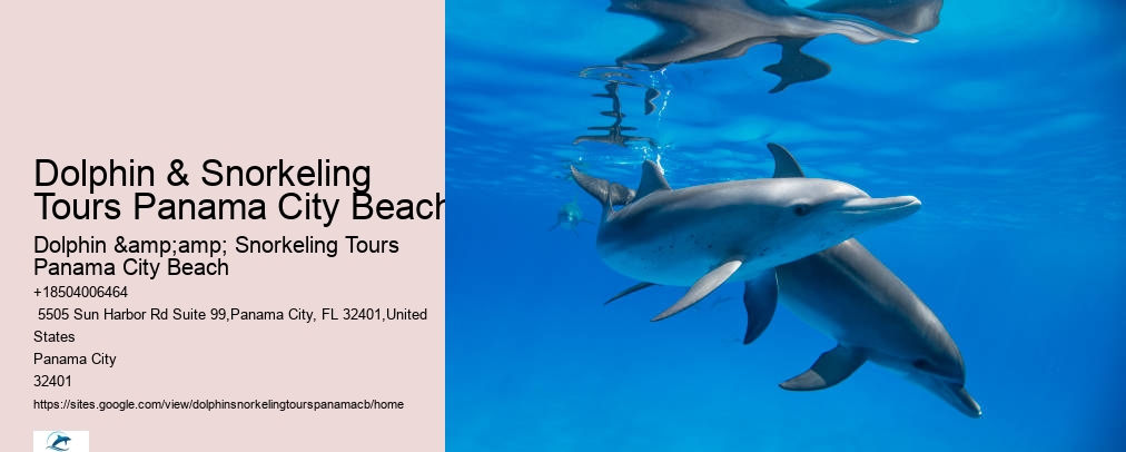 Shell Island Snorkeling Panama City Beach