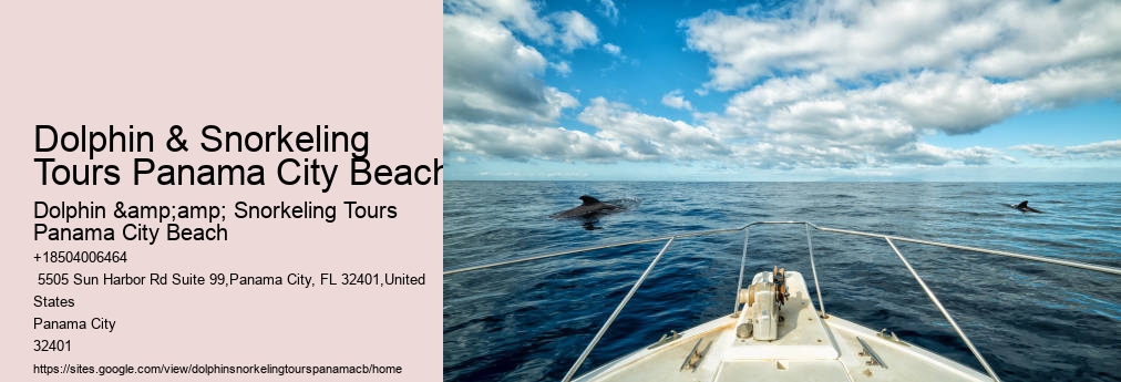 Snorkel Tour Panama City Beach