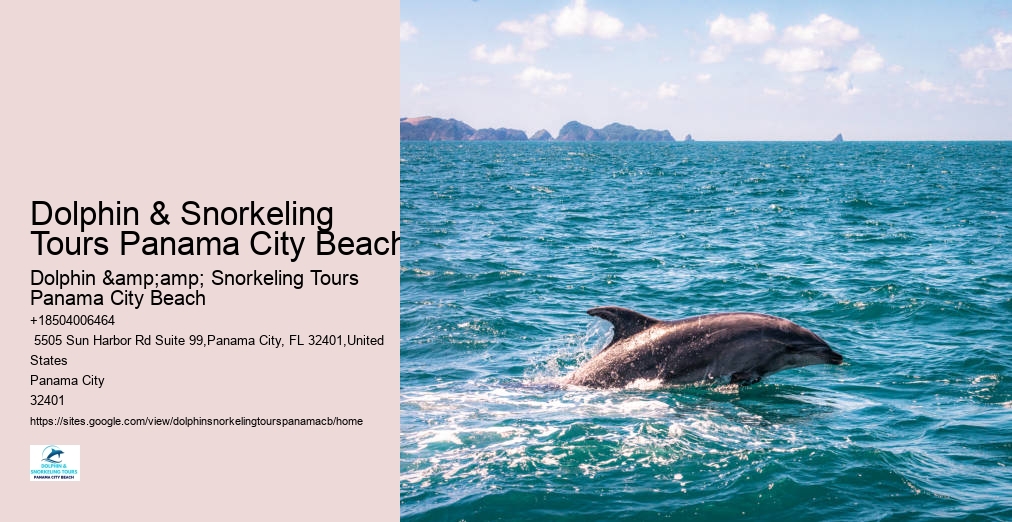 Shell Island Snorkeling Panama City Beach