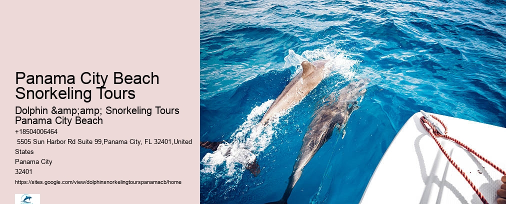Panama City Beach Dolphin And Snorkeling Tours