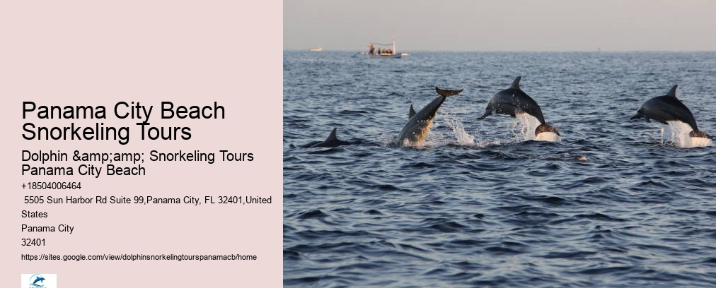 Panama City Beach Snorkeling Tours 