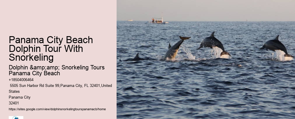 Panama City Beach Dolphin Tour With Snorkeling