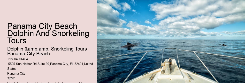 Panama City Beach Dolphin Tour With Snorkeling