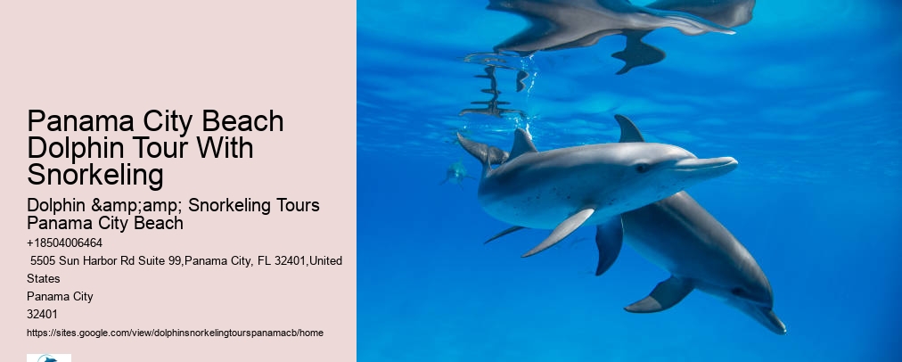 Snorkeling In Panama City Beach Florida