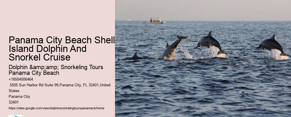 Panama City Beach Shell Island Dolphin And Snorkel Cruise
