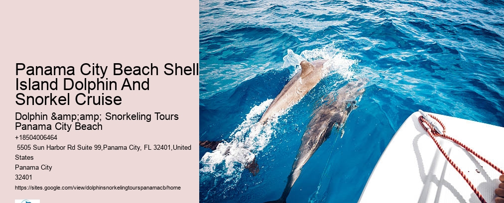 Panama City Beach Shell Island Dolphin And Snorkel Cruise