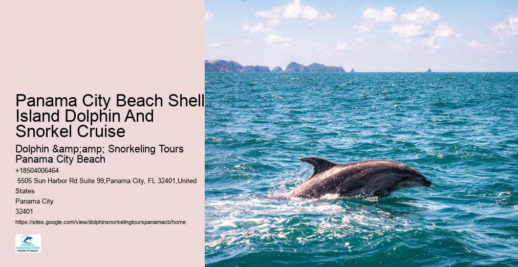 Shell Island Dolphin And Snorkeling Tour