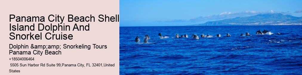 Panama City Beach Snorkeling Tours