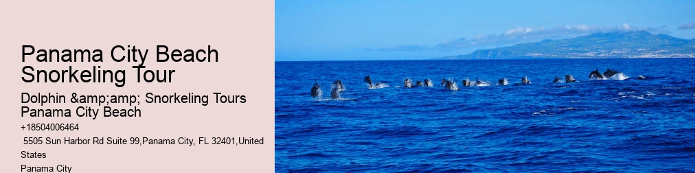 Snorkeling Trips Panama City Beach