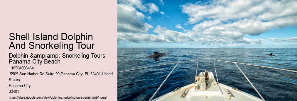 Dolphin And Snorkeling Tours Panama City Beach
