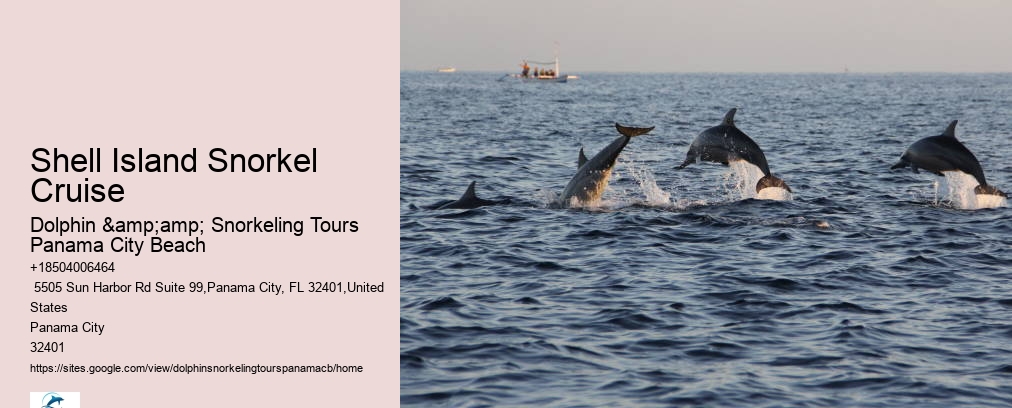 Shell Island Snorkel Cruise