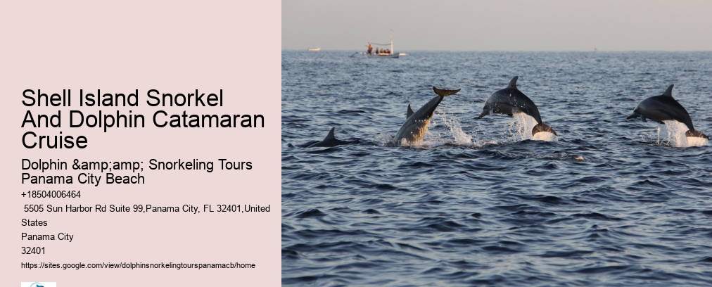 Snorkeling Panama City Beach