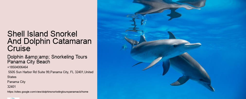 Panama City Beach Shell Island Dolphin And Snorkel Cruise