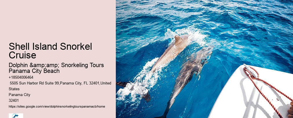 Panama City Beach Dolphin Tour With Snorkeling