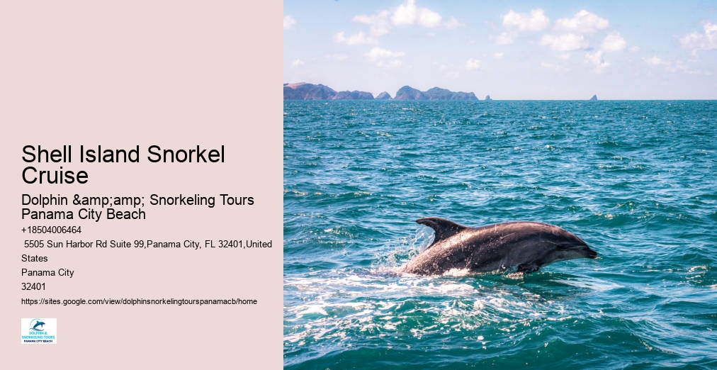 Snorkeling Tours Panama City Beach