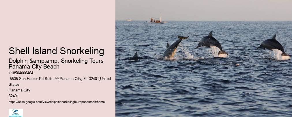 Snorkeling Tours Panama City Beach