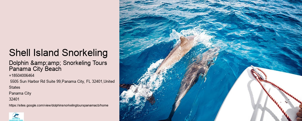 Panama City Beach Dolphin Tour With Snorkeling