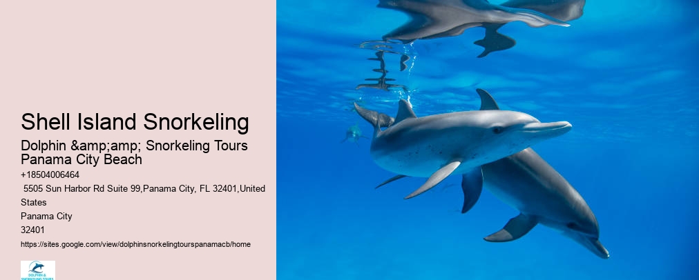 Snorkeling In Panama City Beach Florida