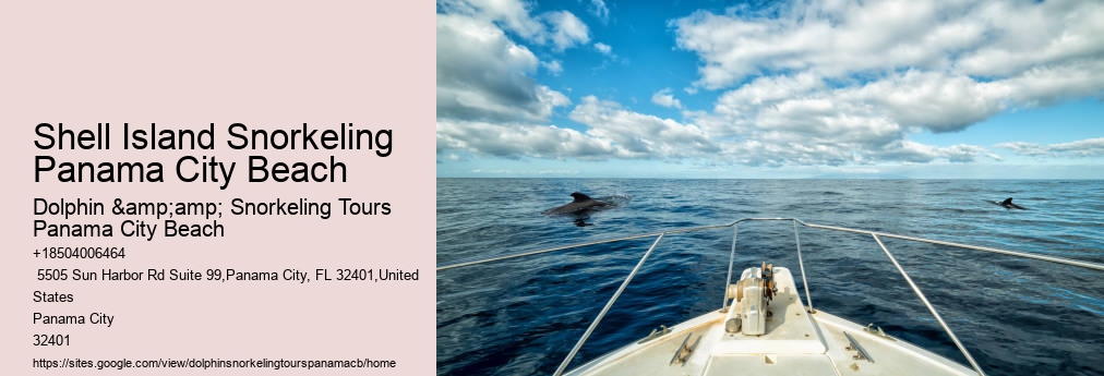 Snorkeling Tours In Panama City Beach Fl