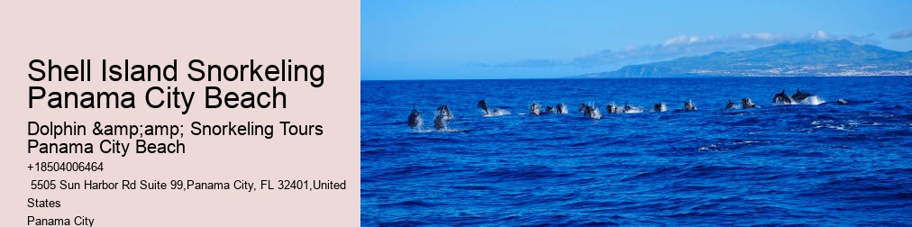 Snorkeling In Panama City Beach Florida