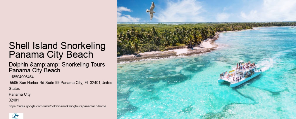 Dolphin & Snorkeling Tours Panama City Beach