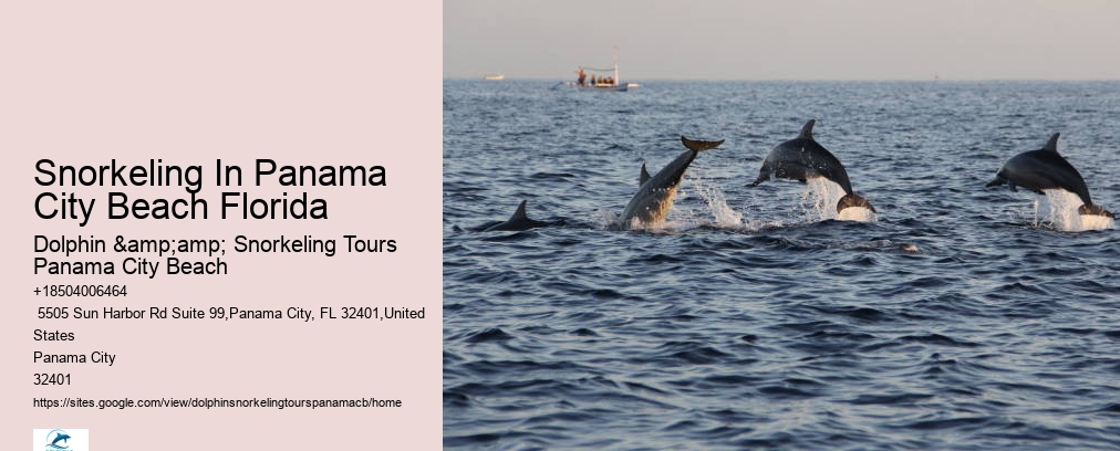 Snorkeling Tours In Panama City Beach Fl