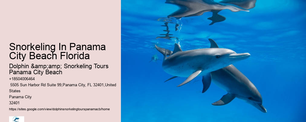 Snorkeling In Panama City Beach Florida