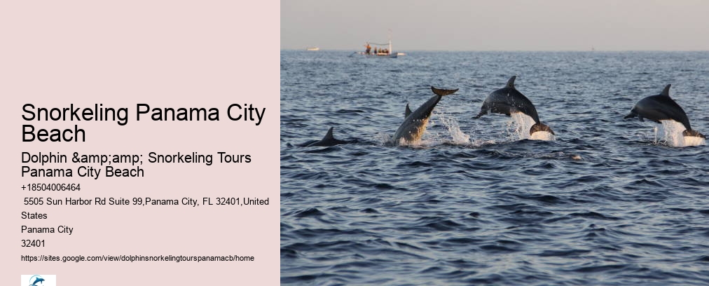 Snorkeling In Panama City Beach Florida