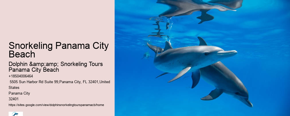 Panama City Beach Snorkeling Tour