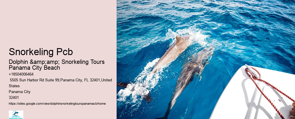 Snorkel Tour Panama City Beach