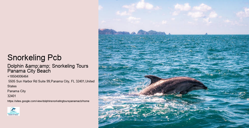 Snorkeling Panama City Beach