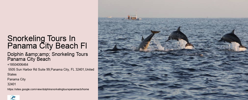 Snorkeling Tours In Panama City Beach Fl