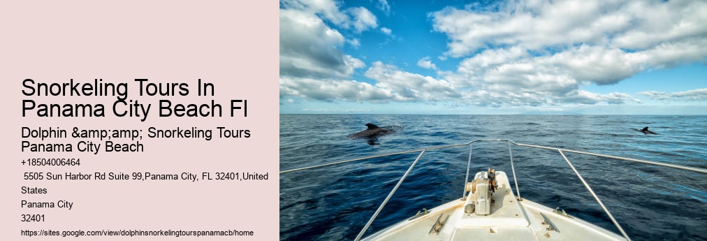 Snorkeling In Panama City Beach Florida