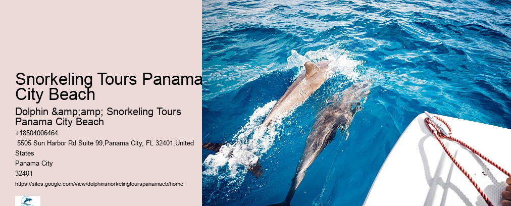 Snorkeling Tours Panama City Beach