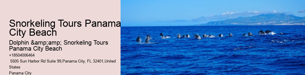 Panama City Beach Shell Island Dolphin And Snorkel Cruise