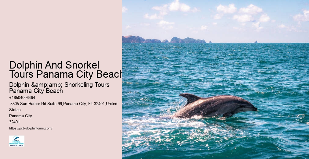 Panama City Beach Shell Island Dolphin And Snorkel Cruise