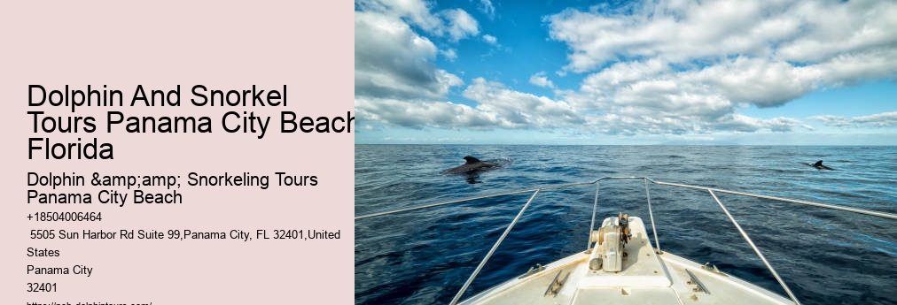 Shell Island Snorkeling