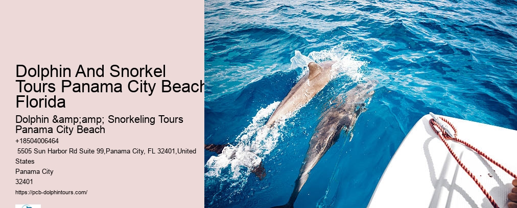 Panama City Beach Snorkeling Tour