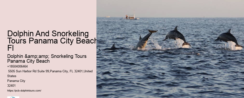 Dolphin And Snorkeling Tours Panama City Beach Fl