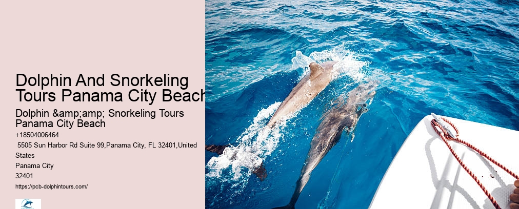 Dolphin & Snorkeling Tours Panama City Beach