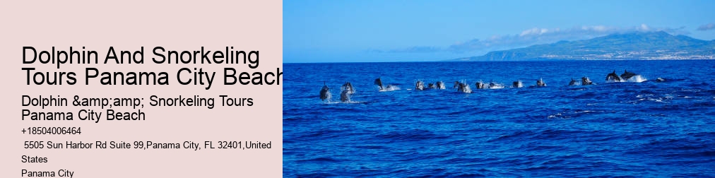 Panama City Beach Shell Island Dolphin And Snorkel Cruise