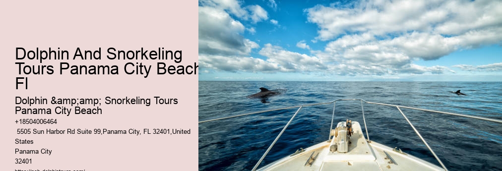 Shell Island Snorkeling Panama City Beach