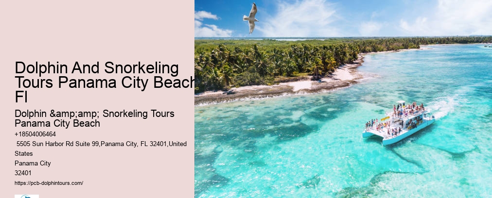 Dolphin Snorkeling Panama City Beach