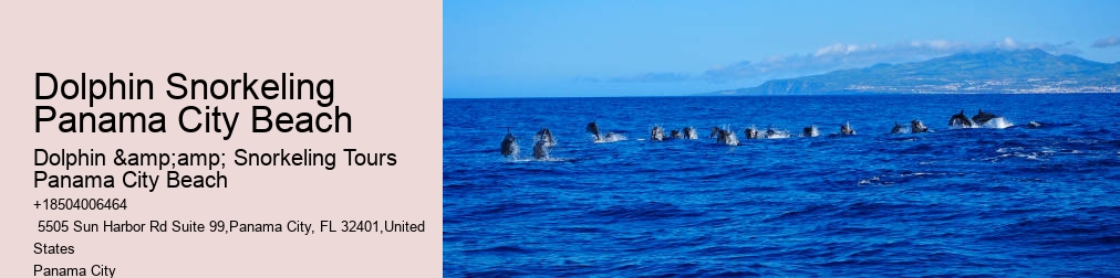 Shell Island Dolphin And Snorkeling Tour