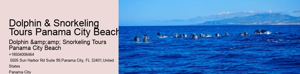 Panama City Beach Snorkeling Tours